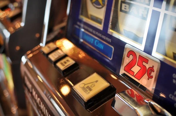 seniorbet App seniorbet App